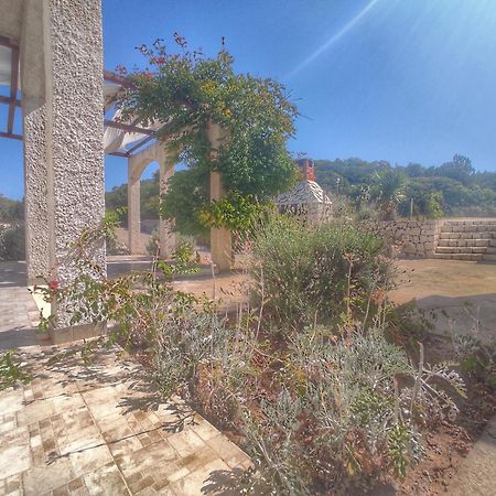 Apartments Franic Saplunara Dış mekan fotoğraf